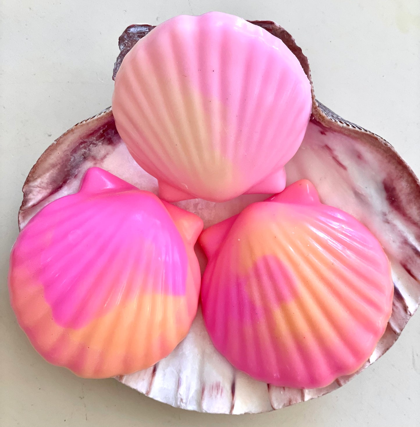 Beautiful sea shell body soaps in colorful hues of pink and orange.  Hand poured with shea butter and other essential oils. Scented with hibiscus essential oil.